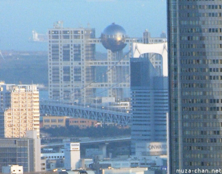 vedere din Tokyo Metropolitan Building