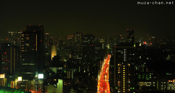 Tokyo After Dark, View from Tokyo Tower