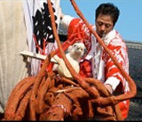 3 Most Dangerous Japanese Matsuri (festivals) to Experience in 2010 3 Most Dangerous Japanese Matsuri (festivals) to Experience in 2010