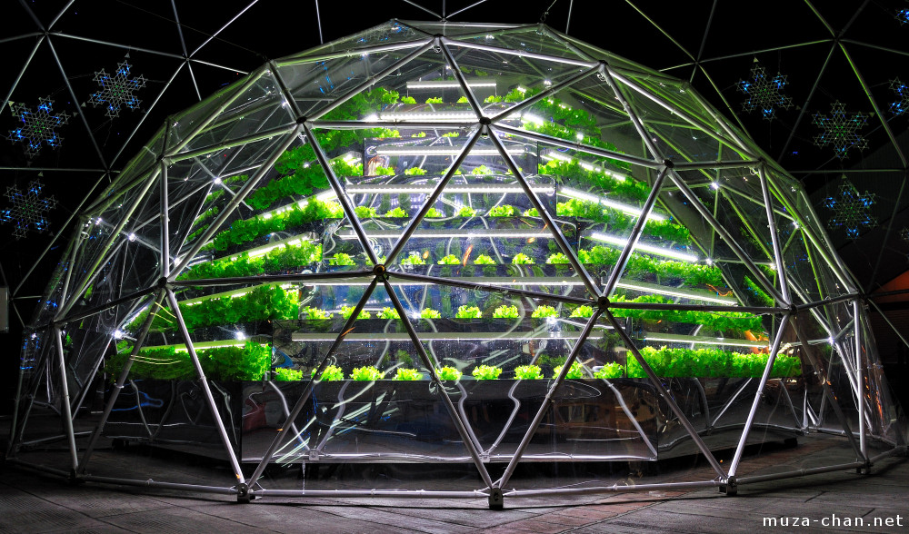 Hydroponic garden Green Sphere, Tokyo Dome, Tokyo