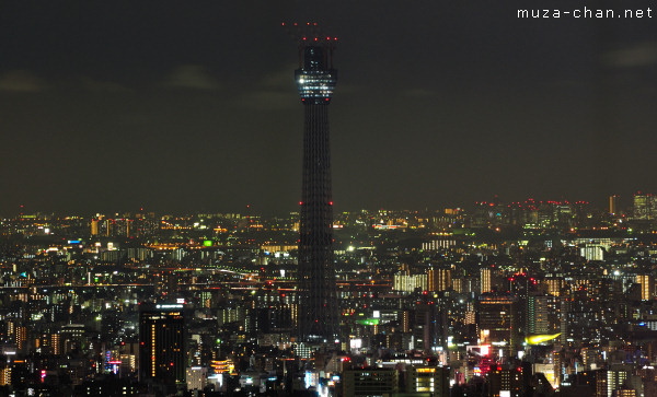 Tokyo Sky Tree, Night View from Sunshine 60, Tokyo