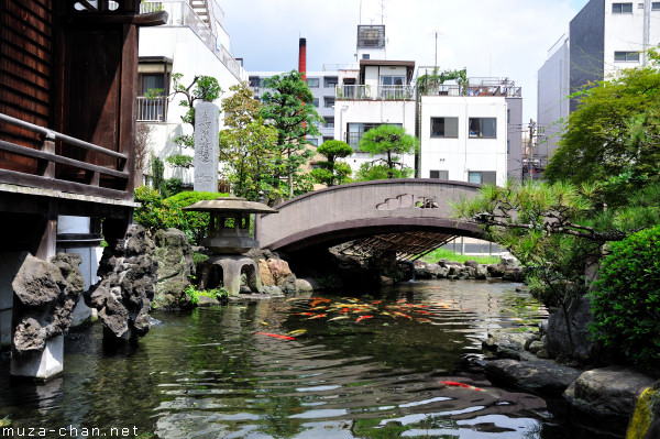 Traditional Japanese Garden, Tokyo