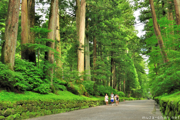 Cedar Alley, Nikko