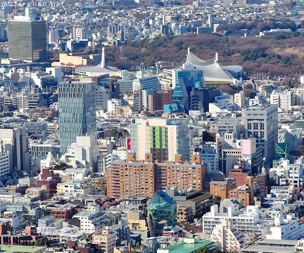 Shibuya, View from Roppongi Hills Mori Tower