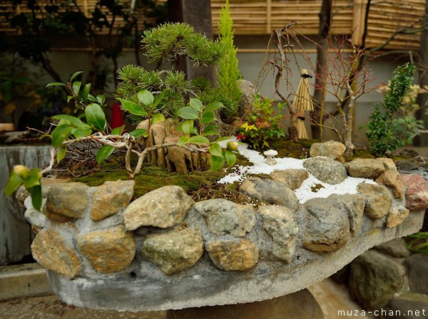 Miniature Japanese garden