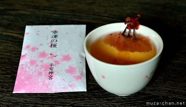 Sakura tea, Heian Jingu