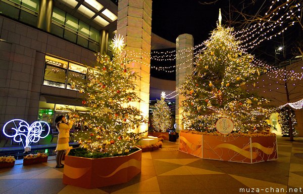 Shiodome Christmas Trees, Minato, Tokyo
