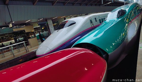JR East, Shinkansen E5, E6 series