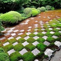 Modern Zen Garden