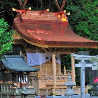 tengu geta for sale