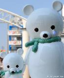 Odaiba Solar Bears
