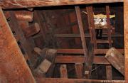 Old Japanese stories, the Goddess from Matsumoto Castle's ceiling