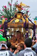 Japanese traditions - Mikoshi parade