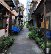 One Year of Daily Japan Photos... Top 10 Visitors Choice