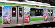 Yae-tan, the cute mascot from Aizu, Fukushima and some travel tips