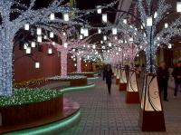 Japan Christmas Lights Videos 2010