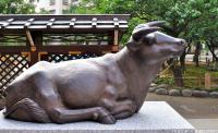 The Legend of the Yushima Tenjin Bull