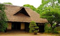 Japanese thatched roofs