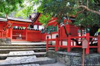 Japanese stories, Nanairo-no-yadorigi, Kasuga Taisha's magical tree