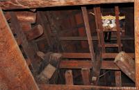 Old Japanese stories, the Goddess from Matsumoto Castle's ceiling