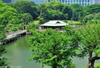 Tea House at Hama-rikyu Japanese Garden
