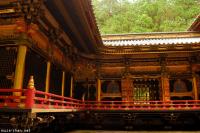The deers from Rinno-ji Taiyuin