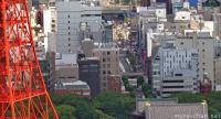 Shiba Aerial view