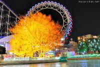 Where to travel in Japan? 7 Must See Tokyo Christmas Illuminations