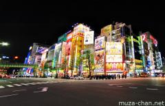 Akihabara crossing wide angle night photo