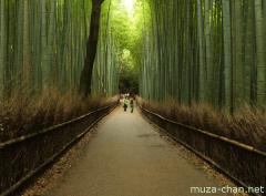 Kyoto Arashiyama bamboo groves