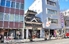 Japanese architecture, Castle style bookstore