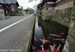 Street with ornamental carps in Obi