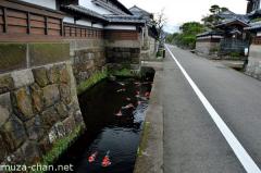 Samurai town street with ornamental carps