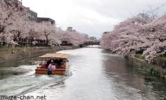 Sakura and pleasure boats