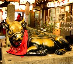 Ushi-san, the cow statue