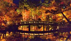 Surreal autumn night at Eikando Kyoto