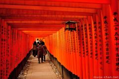 Defining images of Japan, thousands of torii in Kyoto
