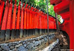 Shinto Shrines, Fushimi Inari Taisha