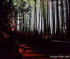 Kyoto, the garden of Soami