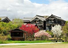 Simply beautiful Japanese scenes, Spring in Gifu