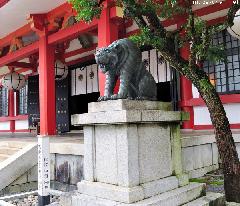 The unusual guardian of Kurama-dera