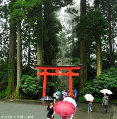 Hakone shrine torii in the rain