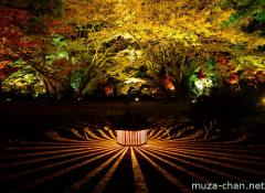 Hogon-in Kyoto autumn illumination