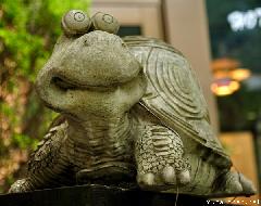 Cute Japanese Tortoise Statue