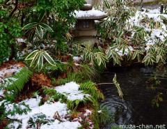 Aoyagi Samurai house garden in winter