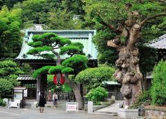 The story of Kamakura Hasedera Temple