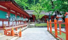 Shinto Shrines, Taisha