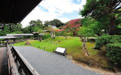 Visiting Kyoto, the Kodaiji garden