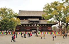 Japanese traditional architecture, Kyoto To-ji golden hall
