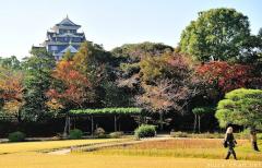 Koraku-en garden and Okayama castle